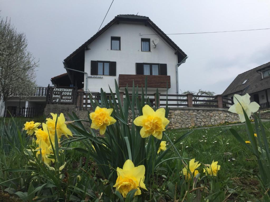 Guest House Aurora Poljanak Exterior photo
